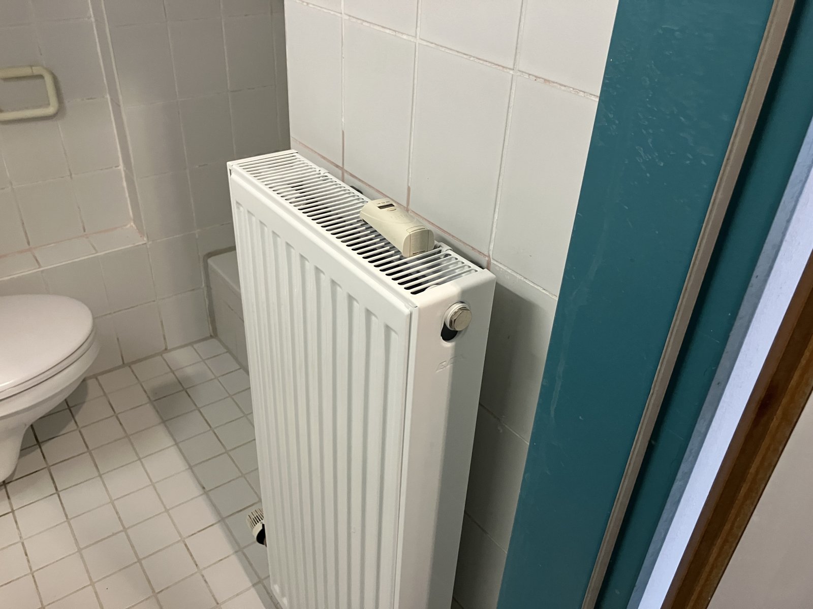 frisch renoviertes Balkonap. im Inneren Osten