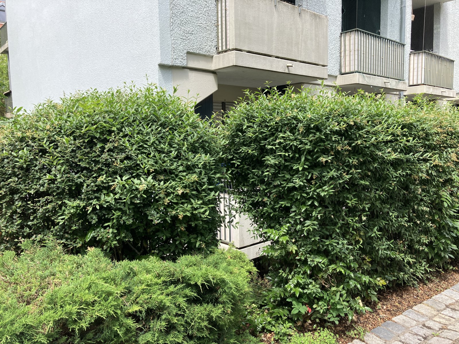 Zweckmäßiges Balkon-Apartment mit guter Busanbindung