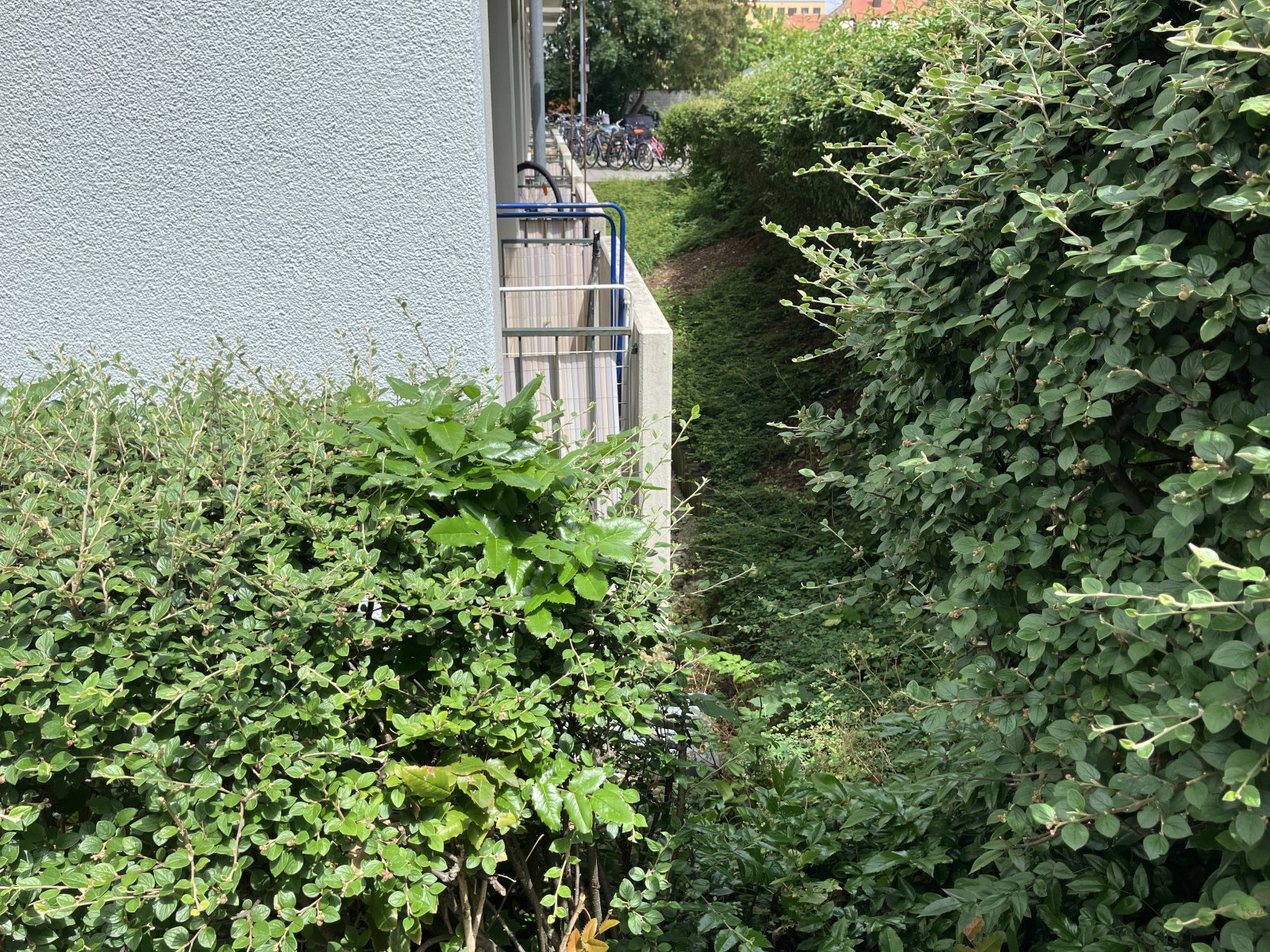 Zweckmäßiges Balkon-Apartment mit guter Busanbindung